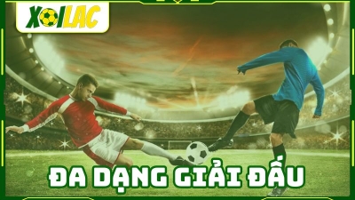 xoilactv.skin: Xem trực tuyến bóng đá Bournemouth với Xoilac TV